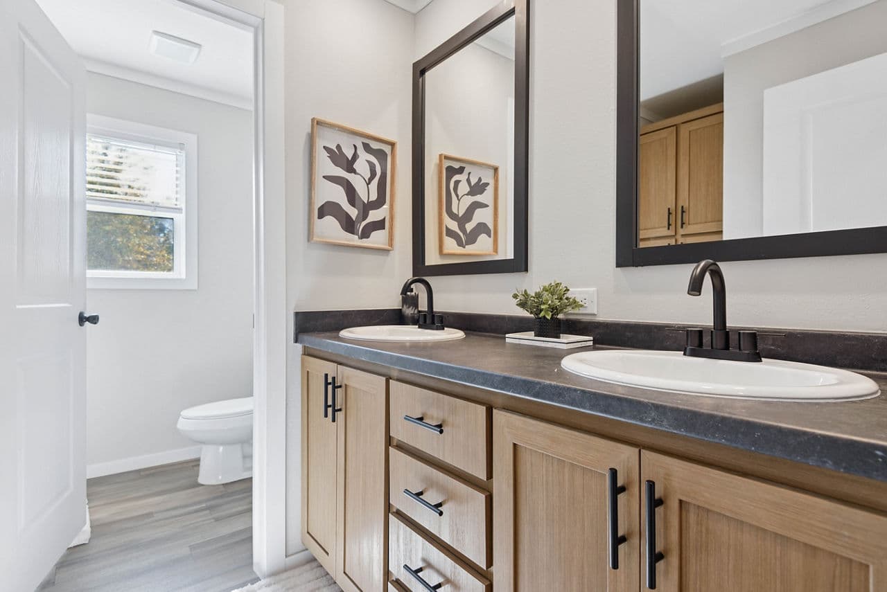 The drago bathroom home features